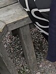 1000029591