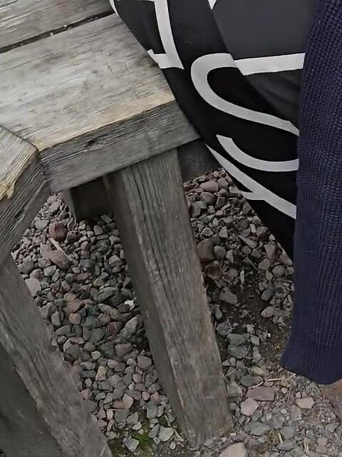 1000029591