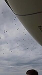 1000030155
