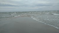 Grenen