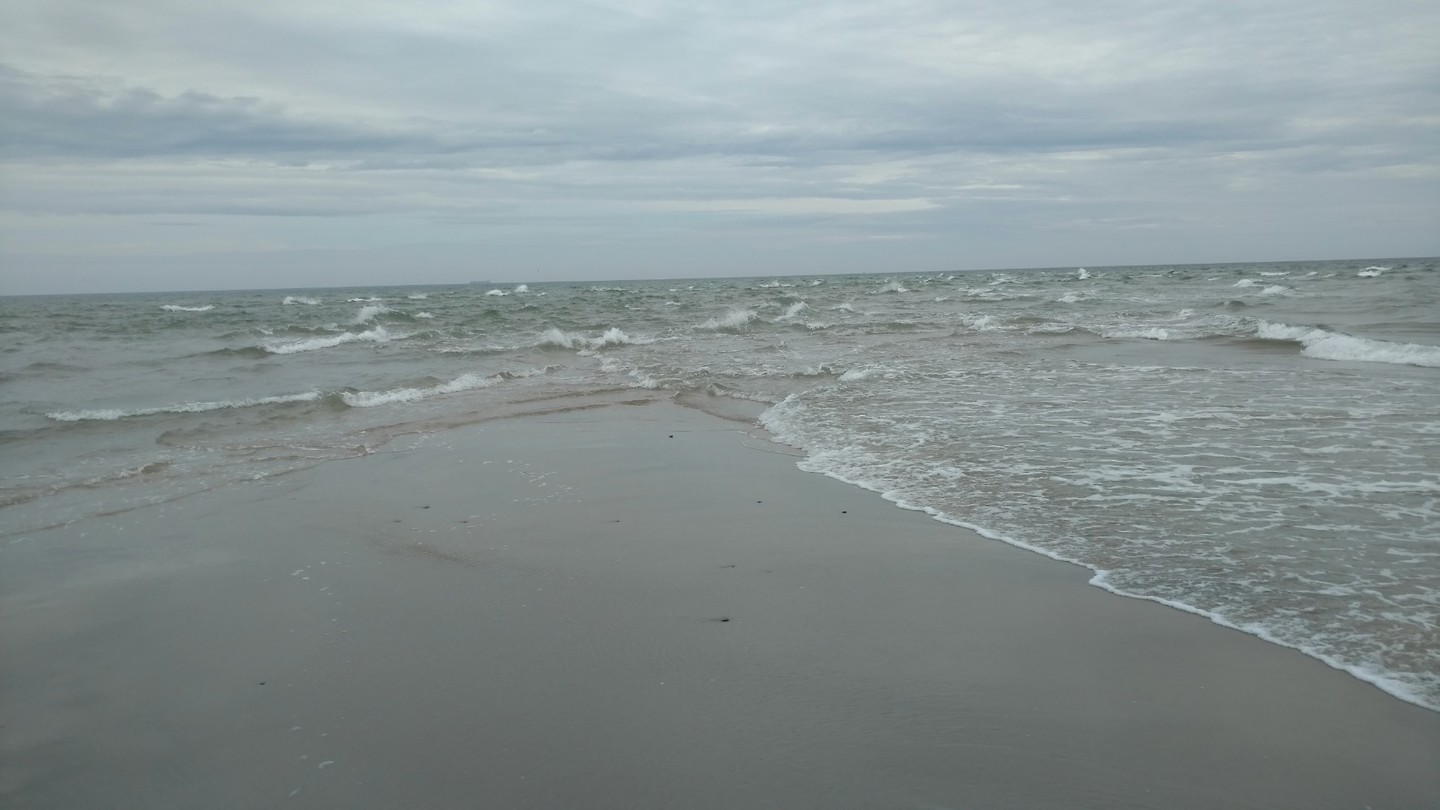 Grenen