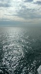 Volle zee
