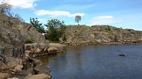 Odderoya