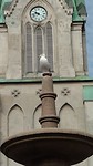 Kristiansand, de meeuw