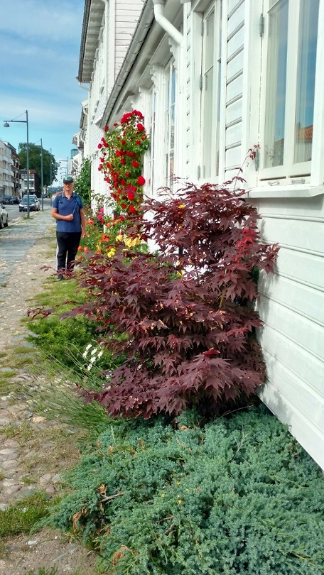 Kristiansand, het oude stadsgedeelte