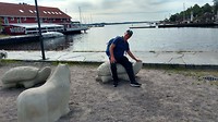 Kristiansand, Peter en de schildpad