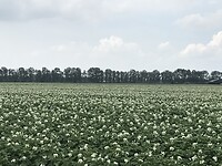 F591E5EC-E1FE-4E22-92AF-1E3F2E333814