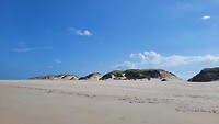 8008E265-362D-48B0-9342-9F1982C53DBA