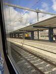 IMG_0447