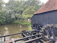 IMG_0434