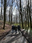 IMG_1880