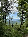 IMG_2182