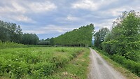 8959f3c8-5139-40f7-9043-c04292001847