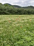 IMG_2302