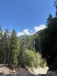 IMG_2387