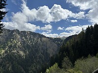 IMG_2394