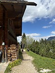 IMG_2398