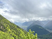 IMG_2650