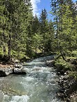 IMG_2677