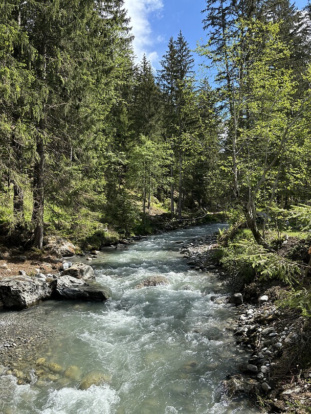 IMG_2677