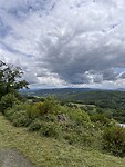 IMG_2964