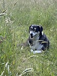 IMG_4245