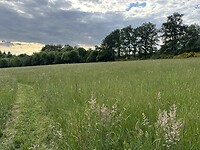 IMG_4243