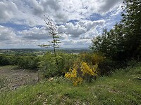 IMG_4255
