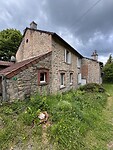 IMG_4250