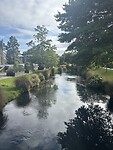 IMG_6070