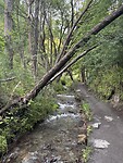 IMG_6325