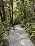 IMG_6487