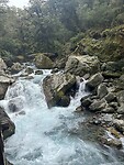 IMG_6474