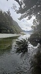 IMG_6458