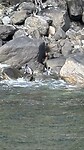 IMG_6564