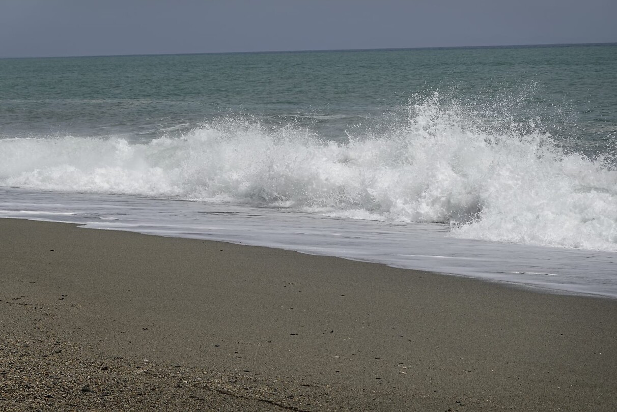 48c61d87-7be5-48e1-b758-a2df366abd12