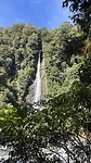 IMG_6812