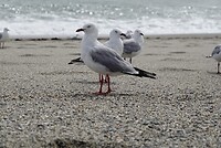 a0110c60-f0c3-4b03-8d96-425050fe0a1b