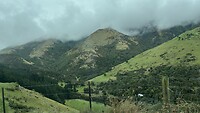 IMG_7069