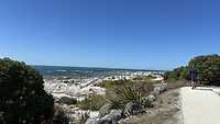 IMG_7180