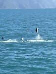IMG_7166