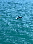 IMG_7162