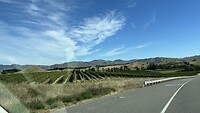 IMG_7228