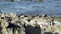 IMG_7211