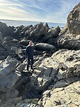 IMG_7207