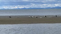 IMG_7253