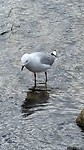 IMG_7258