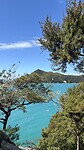 IMG_7316