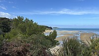 IMG_7318
