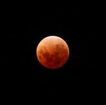 9770d91f-59b7-4334-9047-ae61602f77f7